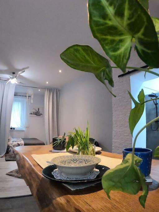Urocze Studio W Sercu Cieplic Warmbrunn Exteriér fotografie