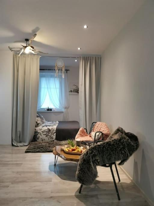 Urocze Studio W Sercu Cieplic Warmbrunn Exteriér fotografie